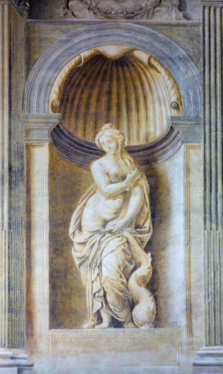 greekromangods: Venus 1526–1528 Giulio Romano (1499–1546) Fresco Museo Civico di Palazzo