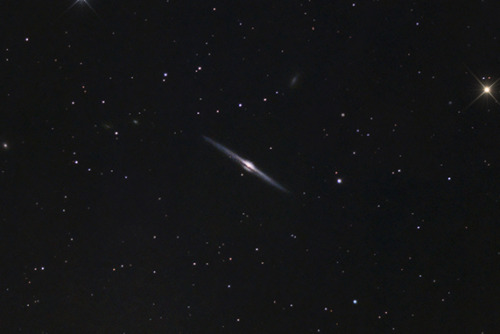 astrobackyard: NGC 4565 - The Needle Galaxy in the Constellation Coma Berenices.  Photographed 