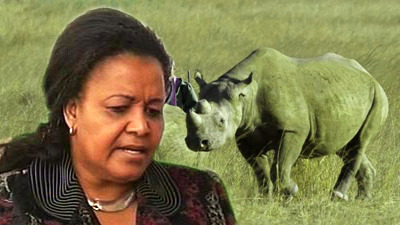 Dirty, sneaky and wrong! Hidden details in rhino horn trade proposal from Edna Molewa, SA DEA- there