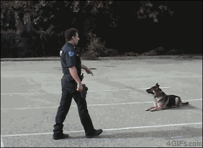 unrepentantwarriorpriest:  Warrior Culture : Police