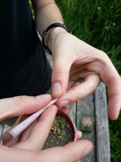 carefuldays:  Stoned forest walks