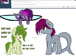 askflowertheplantponi:  Flower: I asking