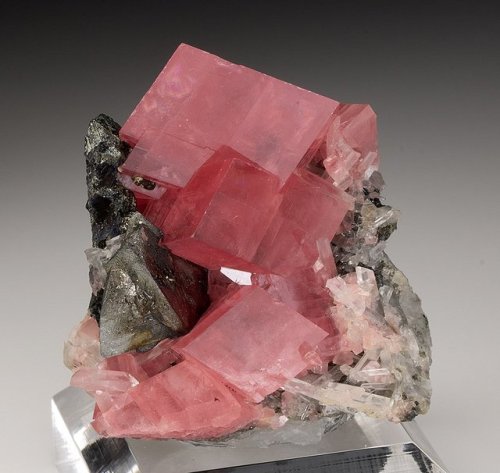 geologyin-blog: Exquisite rhombohedral crystals of rhodochrosite from Sweet Home Mine, Alma, Park Co