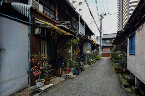 長屋傘路地 by m-louis on Flickr.