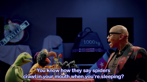 beinggayisreallyexpensive: rootbeergoddess: Gonzo what the fuck? Gonzo interrogating RuPaul over his