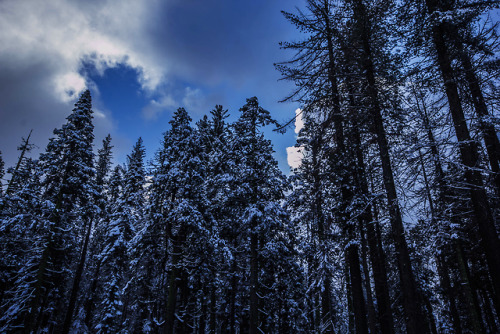 garettphotography:“Wish’d, wint'ry, Horrors, hail! – With frequent Foot,Pleas’d, have I, in my cheer