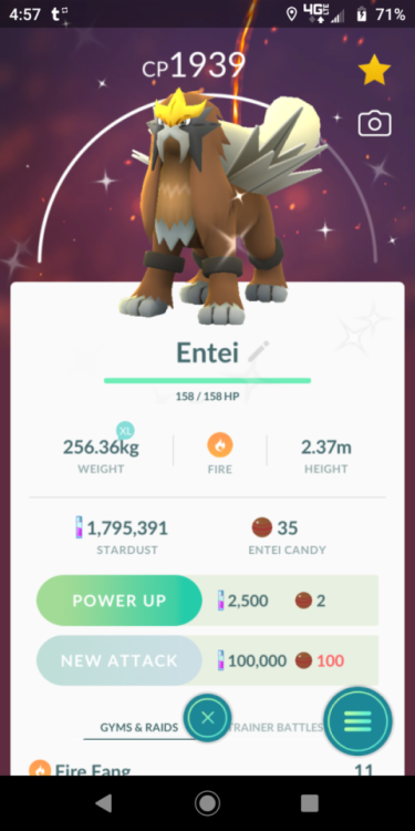 billciipher:I got a shiny during raid day!