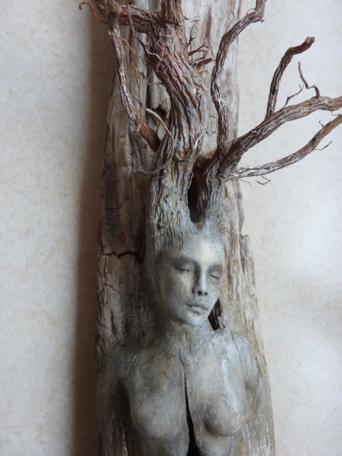 Driftwood Sculptures by Shaping Spirit