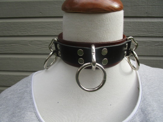 Dominion Leather May Collar Giveaway!!!