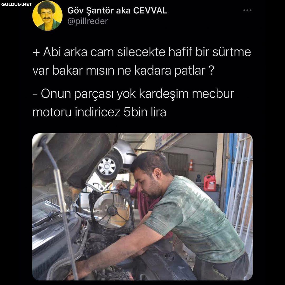 Göv Şantör aka CEVVAL...