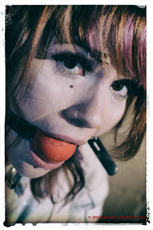 sensualhumiliation:   gagged and straitjacketed, drooling, exhausted and sweaty from her vain escape attempts