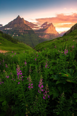 sundxwn:  Mount Oberlin by Ryan Engstrom