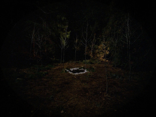 inthedarktrees: “The Path to the Black Lodge” | Twin Peaks