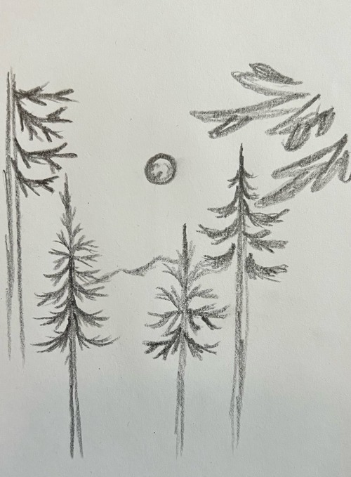 Sketch Descriptions: