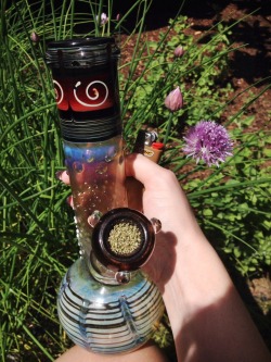 coltfourtyfiveandtwozigzags:  backyard smokes because it’s fucking beautiful out