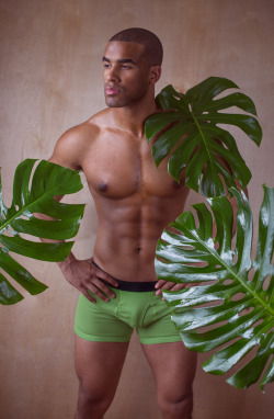 bambam62:Terence Hall by Frank Marando