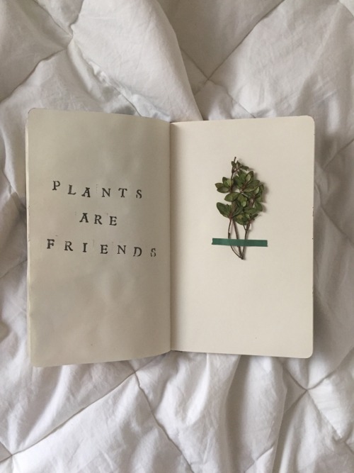 superlunarykidd: Journaling after a long time  insta: superlunarykidd