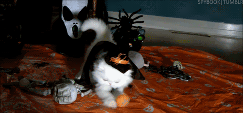 dracmakens:  stop…..my heart can’t handle this kind of cuteness