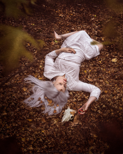 The Fall // 18 10 15 by Manadh Photography Via Flickr: 291 // 365facebook // blog // tumblr