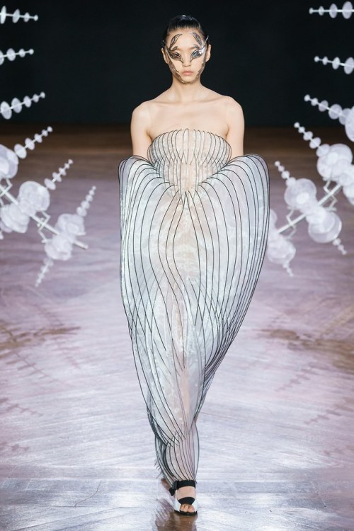 Runway - Fall 2019 Couture - Iris van Herpen____Arthur and Puff are everywhere …Facebook &nbs