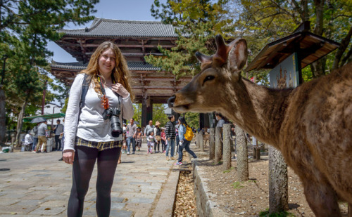 The infinite beauty of Nara