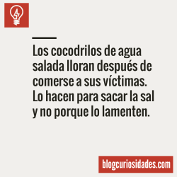 simple-y-diferente:  un-suicida-cualquiera:  Ahora todo tiene sentido, lágrimas de cocodrilo :I  Lagrimas de cocodrilo… AHHNNNN OKEY OKEY, entiendo asdfghjk