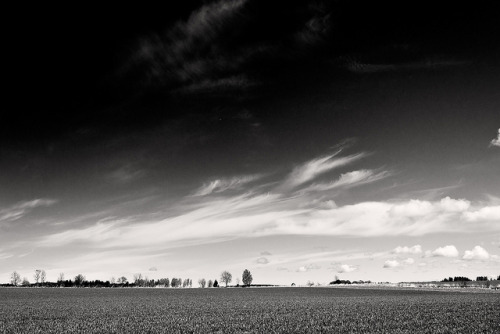 Field on Flickr.