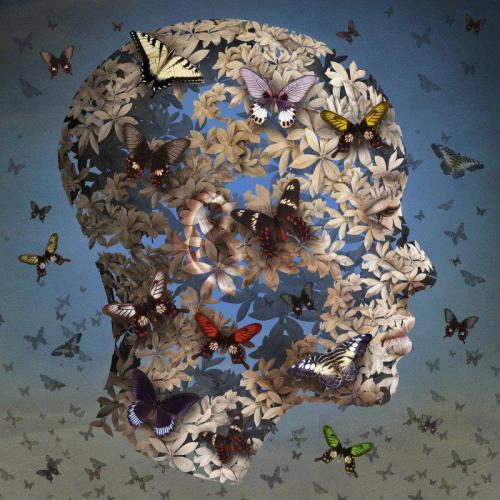 fer1972:  Igor Morski