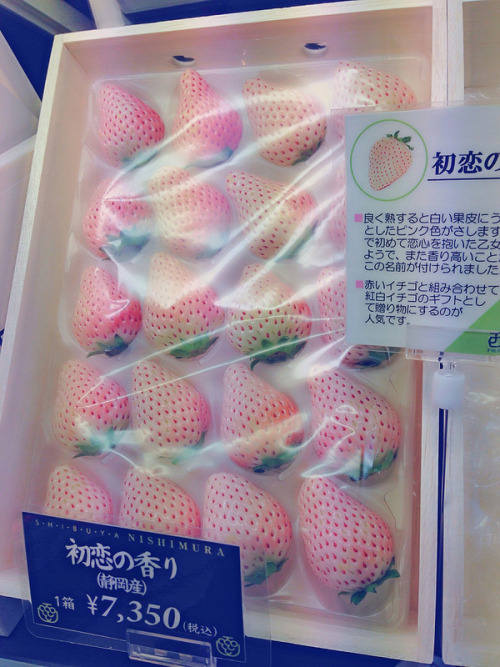 may-clover:  http://cheeserland.com/2014/04/sakura-and-all-things-pink-iii/ 