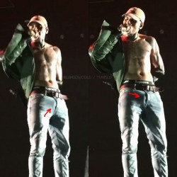 lamarworld:  (Pt.3) Chris Brown bulge &