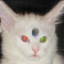 princeofbagels