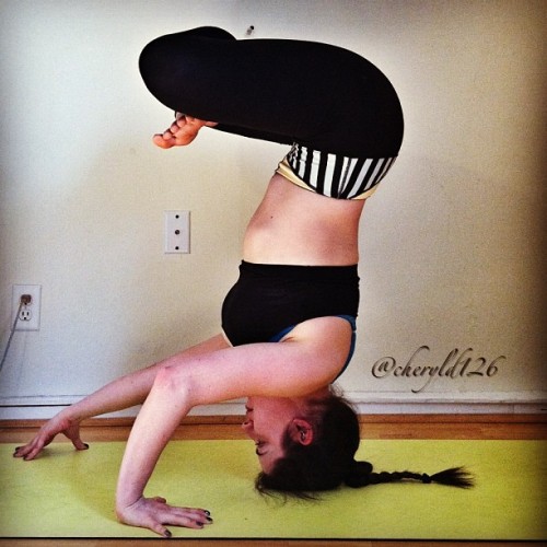 cheryldf:  Headstand in lotus with one arm extended. Please ignore the frizzy, pre-haircut hair.