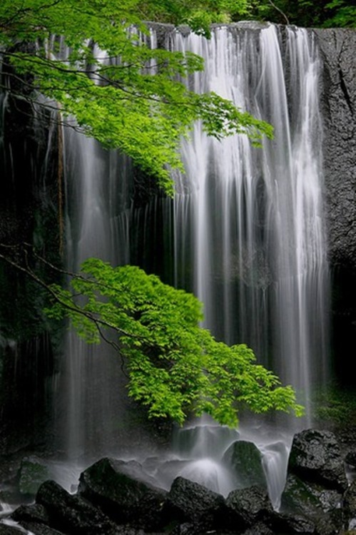 crescentmoon06:  “land of the rising sun” (Tatsuzawa-fudoh Falls, Fukushima, Japan)  Beautiful day dream