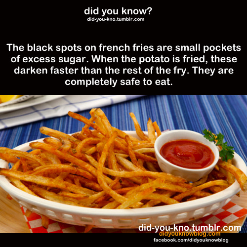 did-you-kno:  Source