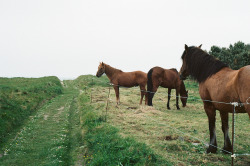 17sailors:  Portsall by AnyDirectFlight on Flickr. 