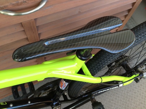 rigidride1009: For Shorttrack Racing.