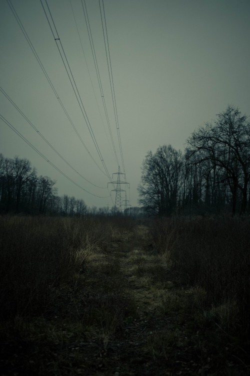 ghostlightlibrarian - Library of Ghostlights