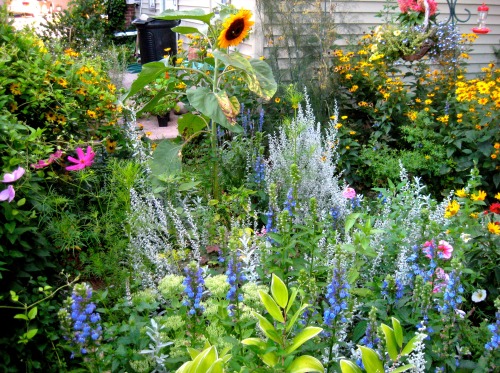 An angle of the August garden.