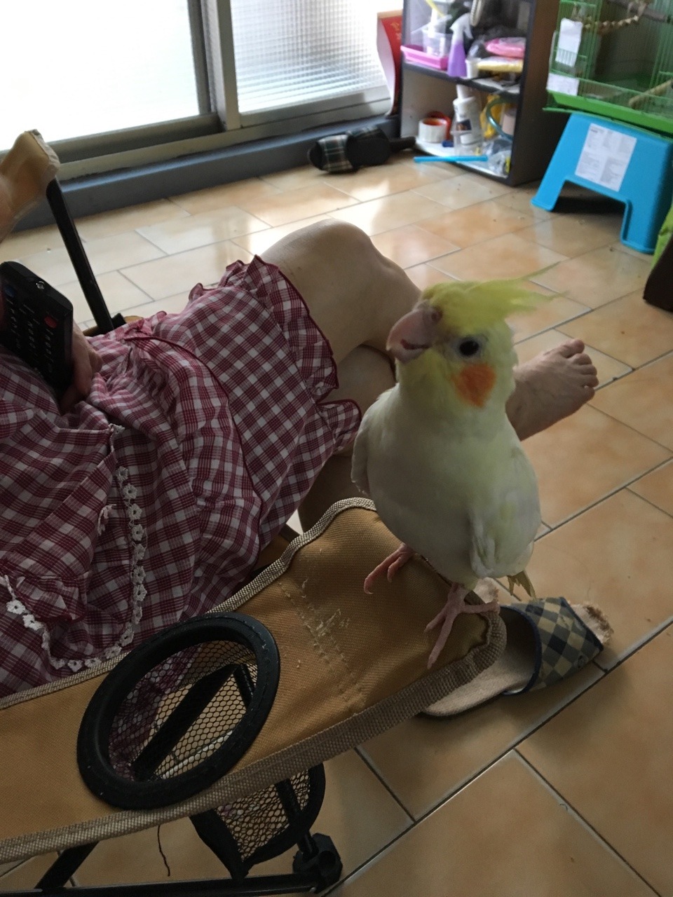 floweythebirdy:  Absolute HATE