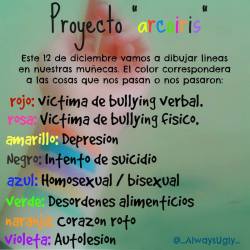 suicidalmind4:  Proyecto “Arcoiris” #ProyectoArcoiris Rojo: Víctima de bullying verbal Rosa: Víctima de bullying físico Amarillo: Depresión Negro: Intento de suicidio Azul: Homosexual/bisexual Verde: Desordenes alimenticios Naranja: Corazon