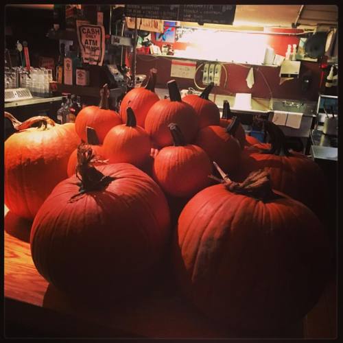 The TARG #wizards are gearing up for a week full of #halloween fun - our #pumkinpatch has been harve