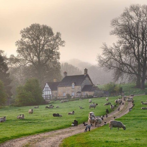 A Particularly Foggy Morning Is The Start Of A Uniquely Interesting Day