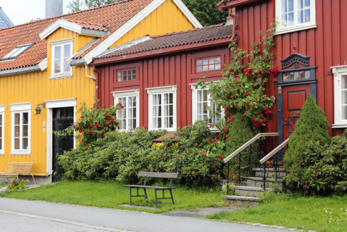 norwegiandailyphoto: Houses in Trondheim