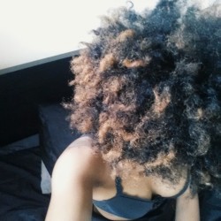 babygurlyaz:Afro appreciation post.