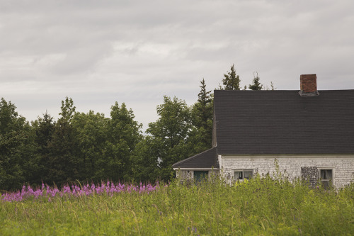 Scenes from the Sunrise Trail in Nova Scotia