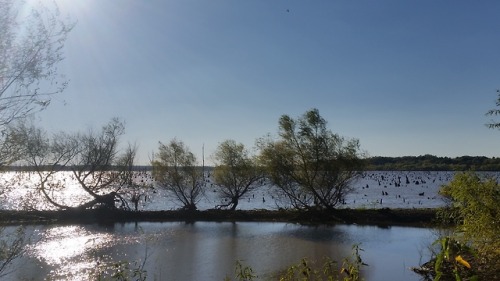 Truman Reservoir, Missouri. 