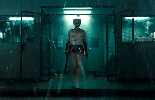 directedbysnyder: I’m the one they should be scared of. Not you! Birds of Prey (and the F
