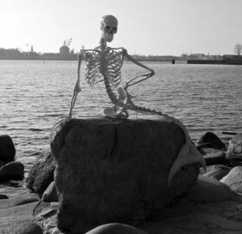 Mermaid Skeleton.