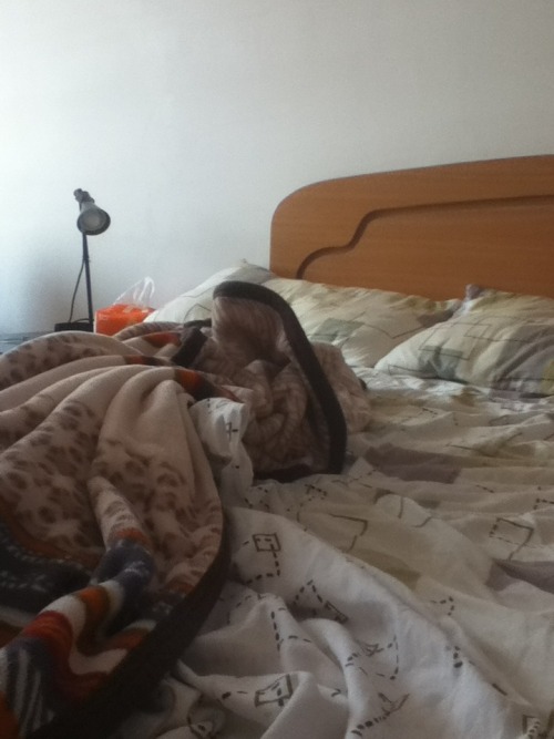 The morning after
