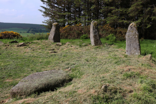 Aikey Brae Stone Circle, near Old Deer, Scotland, 2.6.18.A recumbent stone circle built in the 3rd m